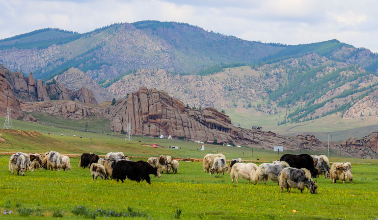 Best central Mongolia attractions
