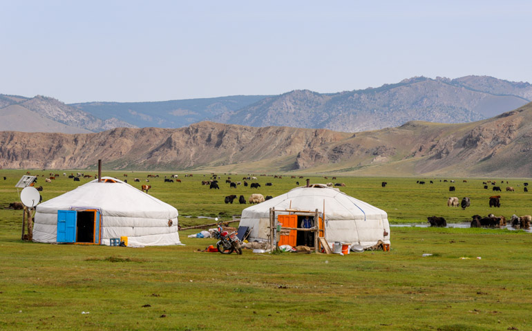 Best group tour Mongolia