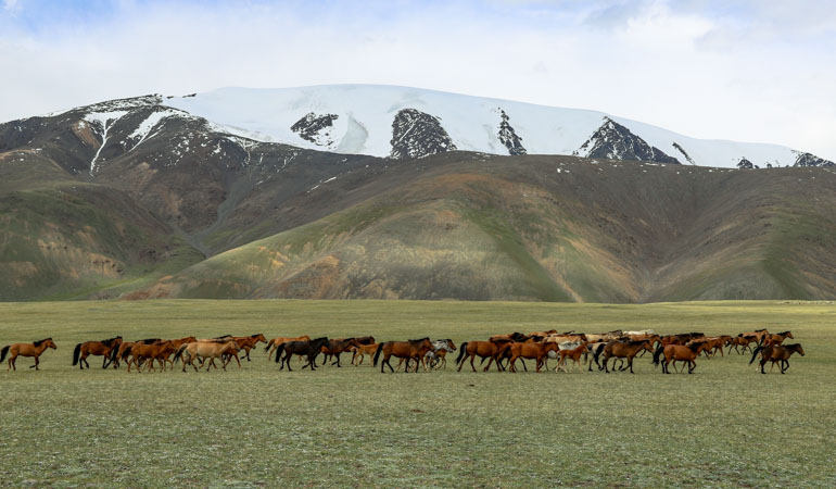 Best places to visit west Mongolia