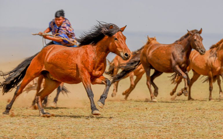 Central Mongolia tour package