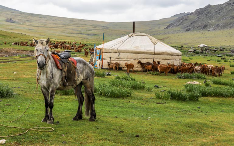 group travel gobi desert Mongolia