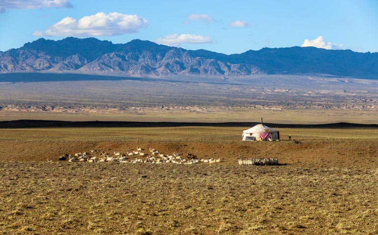 Mongolia desert group travel