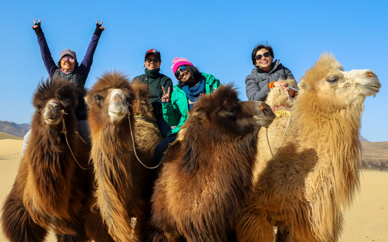 Mongolia winter group travel